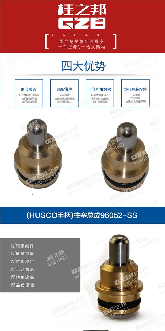 SY75柱塞總成