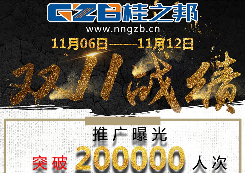 挖掘機配件十一月十一日戰(zhàn)績表，如何實現(xiàn)200%的飛躍?。? title=