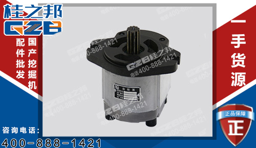 柳工220挖掘機(jī)發(fā)動機(jī)先導(dǎo)齒輪泵11C0122 原裝挖掘機(jī)配件批發(fā)
